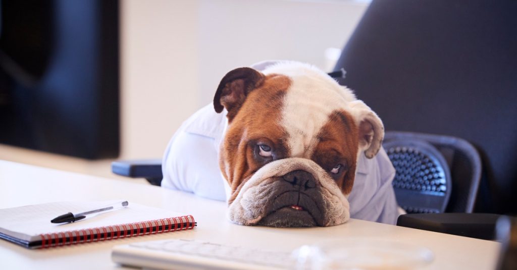 Difficultés à trouver le sommeil